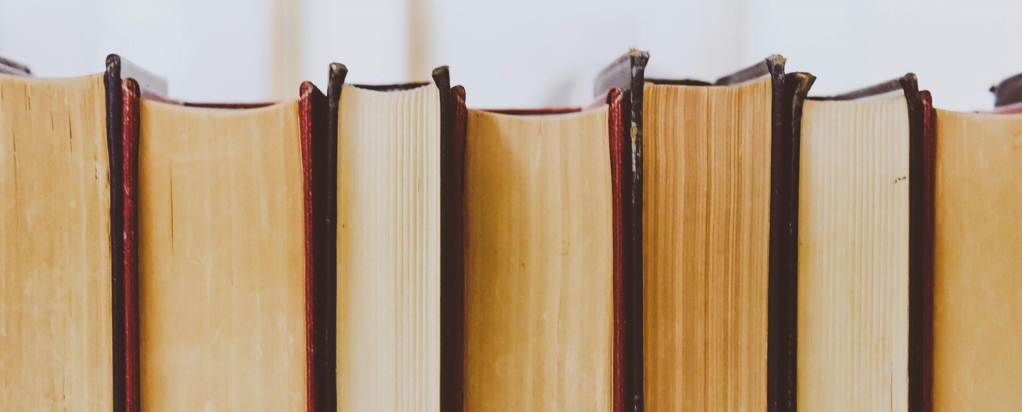 photo of books in a row, paper side