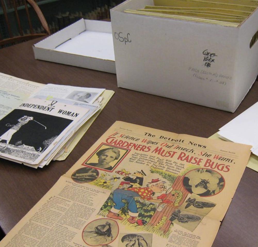 Newspaper, open folder, and box arrayed on a table.