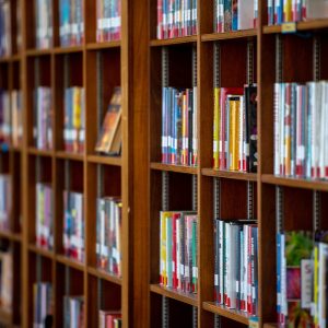 A close-up view of multiple rows of wooden library shelves filled with neatly arranged books, each labeled with white spine labels, in a well-lit indoor space. The shelves recede into the distance, creating a sense of depth and order.
