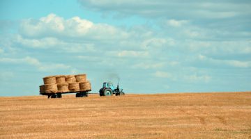 farming hay